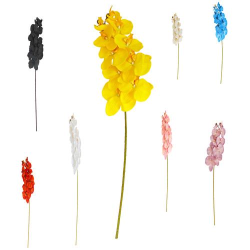 Real touch orchid - touch,