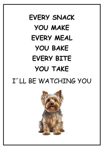 Yorkie be watching - ,