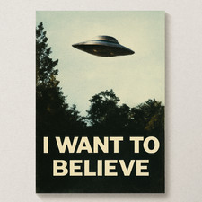 I Want To Believe UFO Poster