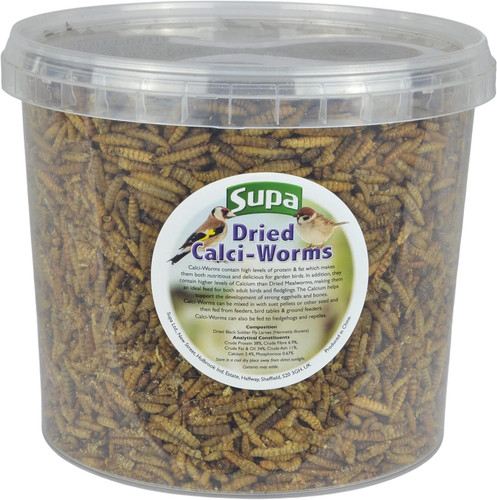 Dried calci worms for - calci,