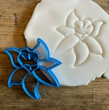 Daffodil cookie biscuit - daffodil,