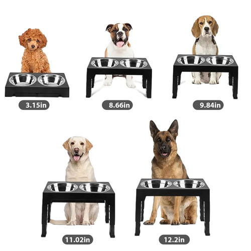 Large raised dog feeding - large,