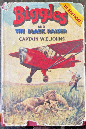 Biggles and the - , raider