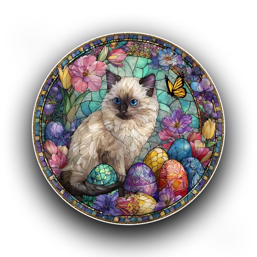 Birman cat kitten - cat, egg