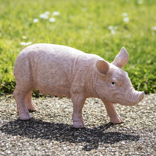 Porky the pig - porky,