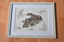 Limited Edition Framed Nigel Hemming Signed Otter Print - Abbey Prints 
