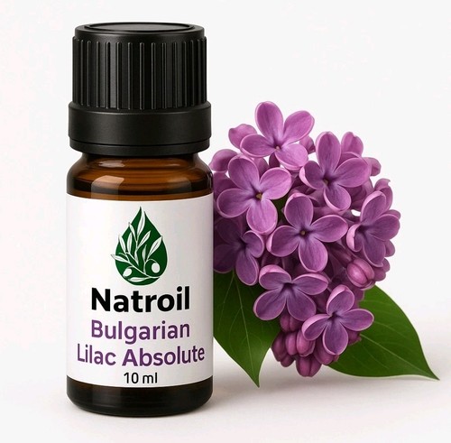 Bulgarian lilac syringia - bulgarian, (syringia