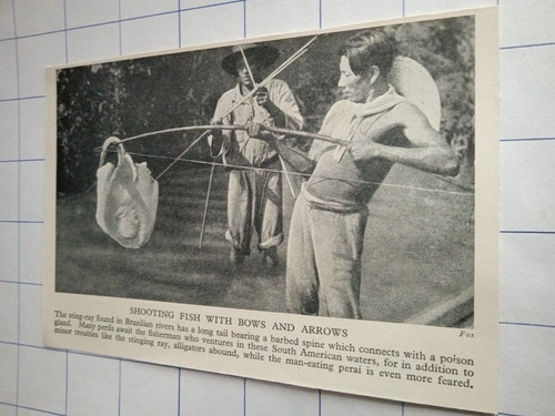Fisherman stingray shooting - fisherman,