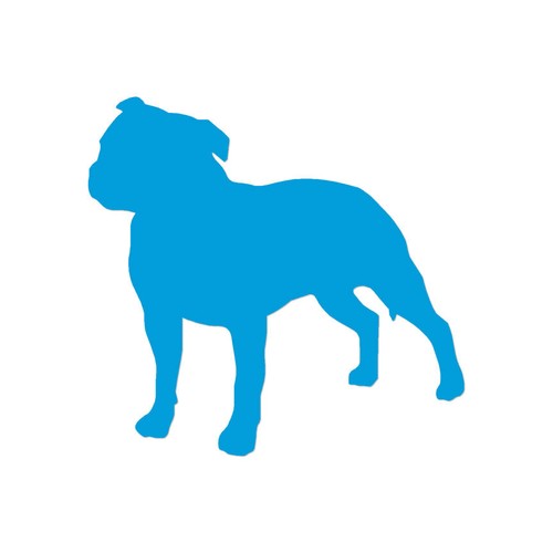 Staffordshire bull terrier - terrier,