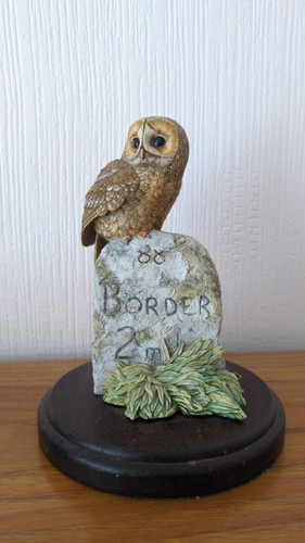 Border fine arts tawny owl - border, on