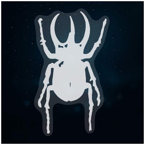 Atlas beetle static window - 'atlas,