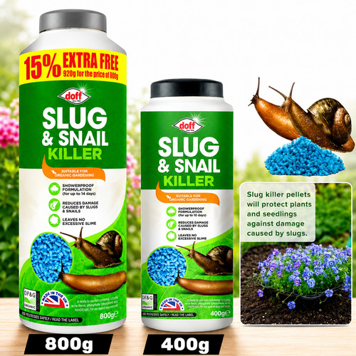 Doff slug snail - doff,