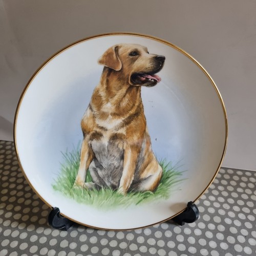Crown bone china england - china,