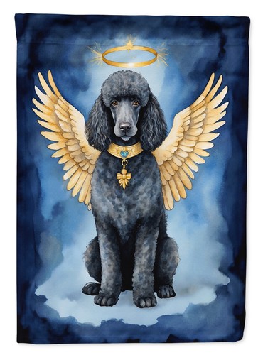 Poodle black standard - standard, my