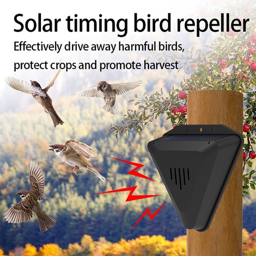 Solar automatic bird repellent