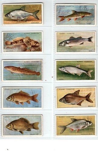 Players fresh water fishes - players:, fresh-water