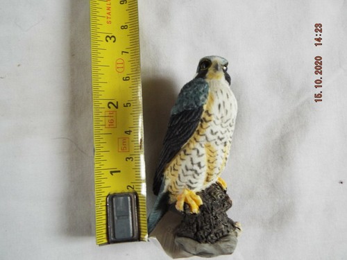 Bird prey peregrine - of,