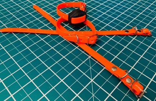 Ferreting collar bright - ferreting,