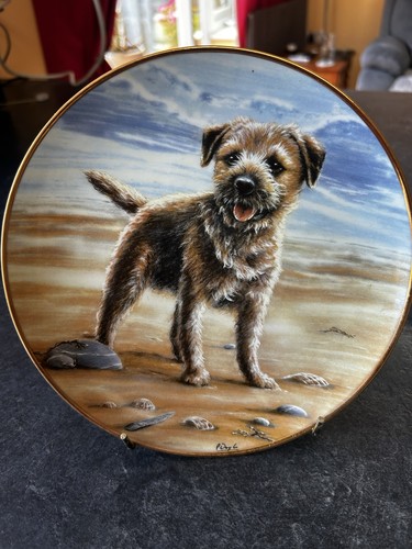 Danbury mint border - danbury, terrier