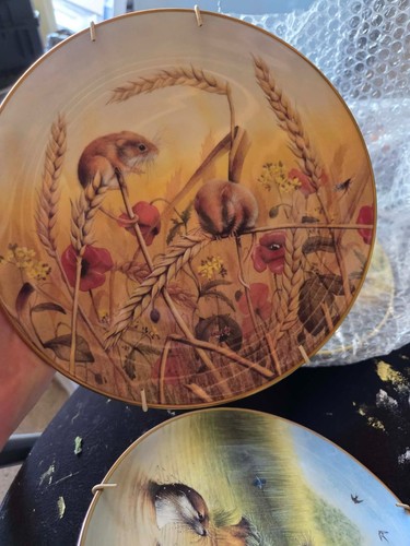 Ornamental plates david - ornamental, a