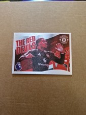 Panini Premier League 2024