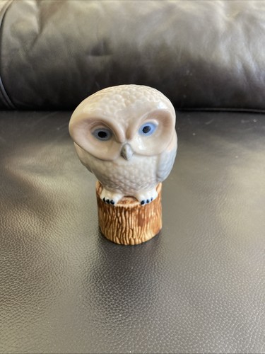 Owl tree stump - owl, on