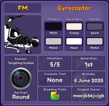 Gyrocopter | Dragon Adventures