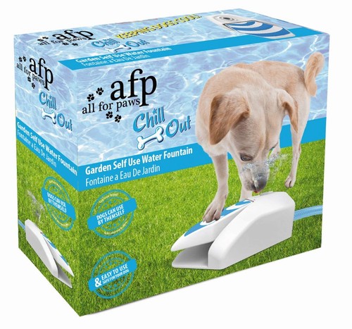 Chill out dog - chill, fountain