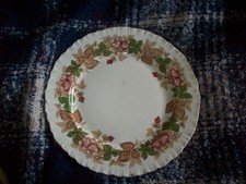 Vintage Wedgewood WildBriar  Plate 26 cm across pattern well used
