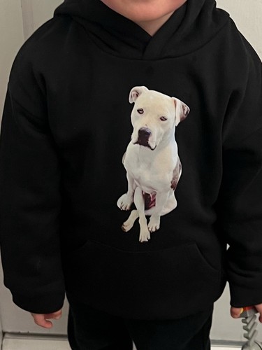American bulldog plain black - american,