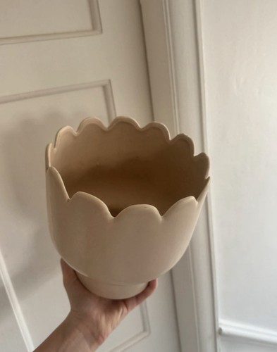 Plant pot - plant,