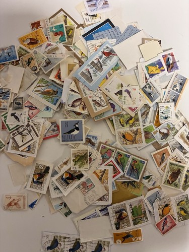 Thematic stamps birds - stamps., on