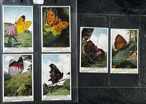 Vintage liebig butterfly - vintage,
