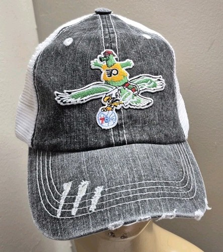 Philadelphia phanatic flying - philadelphia,
