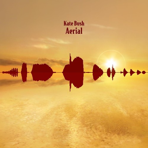 Kate bush aerial - bush, (vinyl)