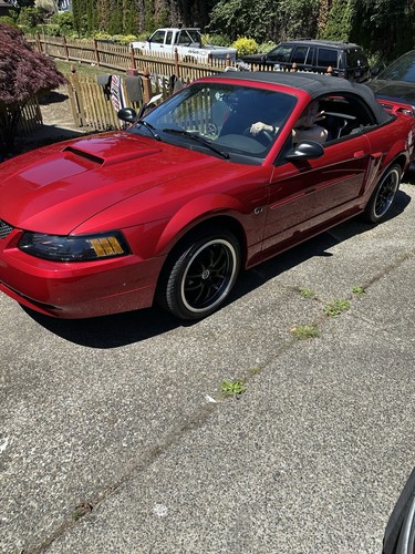 2002 ford mustang - 2002,