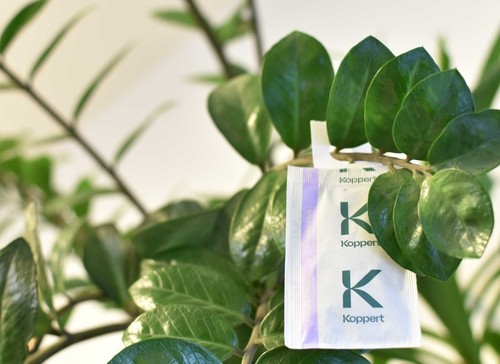Dragonfli thrip killer sachets - dragonfli,