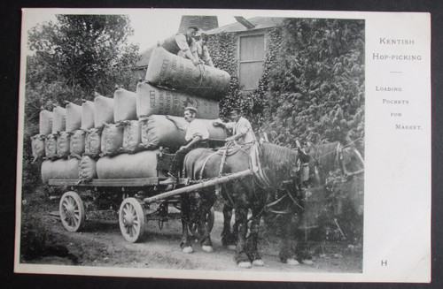 Old social history kentish hop - social,