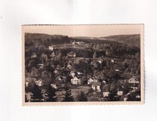 F3070) PRESS TREE great old