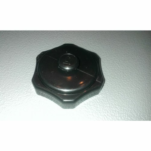Air valve cap for quicksilver - cap,
