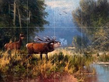 Wildlife elk forest Tile Mural