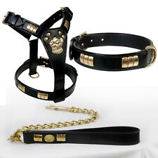 LEATHER DESIGNER DOG HARNESS, COLLAR, CHAIN LEAD COMBINE SET WITH ALL BRASS FIT