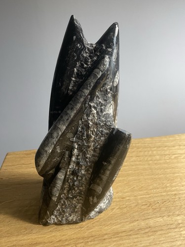 Fossil statue shaped like - fossil, a