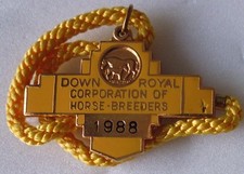 DOWN ROYAL CORPORATION OF