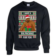 Christmas Jumper 2025..Barry I Have a Big Package For you, Fun/Ugly Christmas