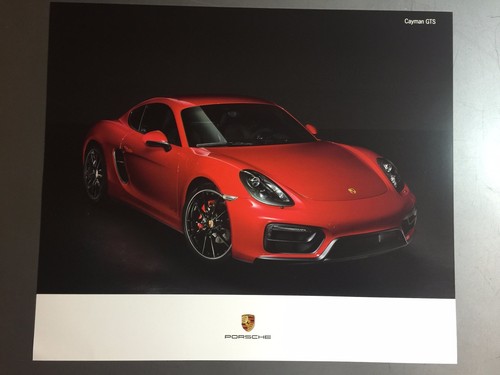 2016 porsche cayman gts coupe - gts,