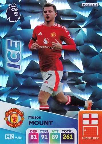 Panini premier league - premier,