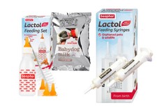 Royal canin puppy milk - canin,