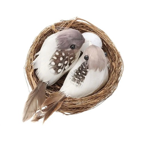 Realistic feather birds with - feather,