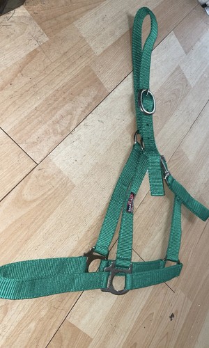 Nylon headcollar full - headcollar,